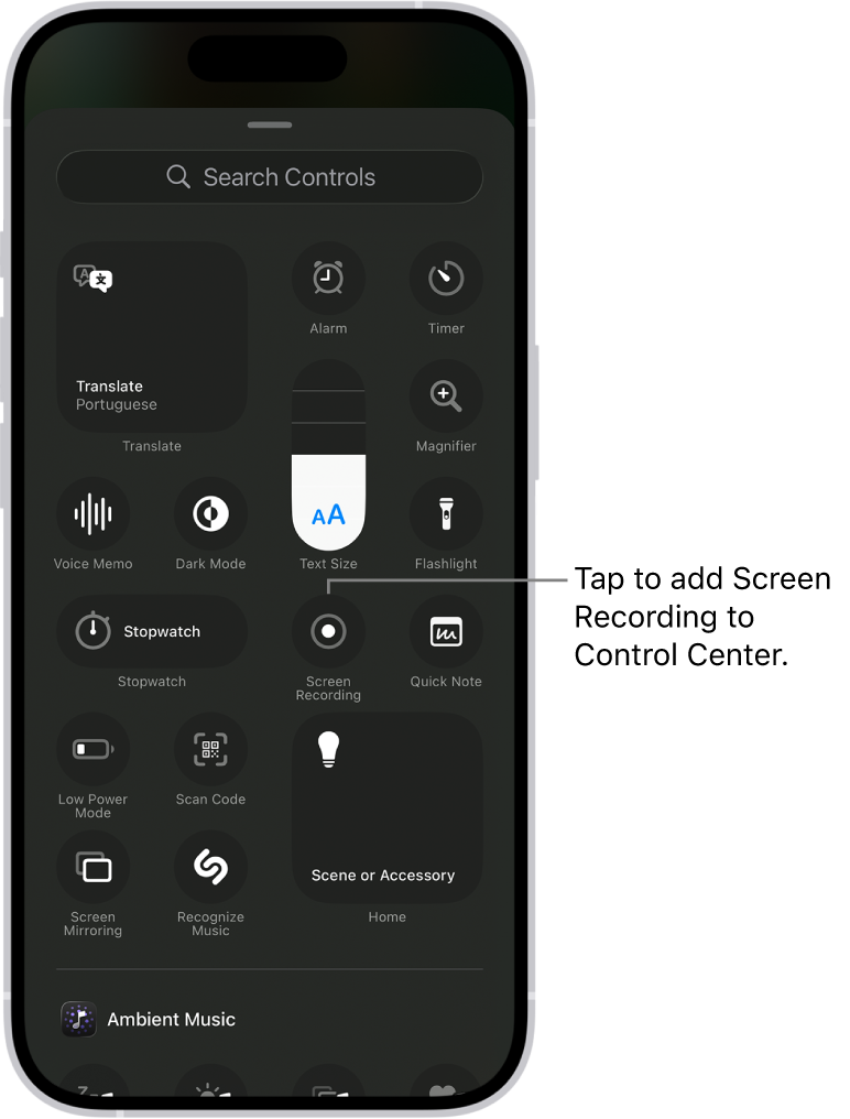 iPhone Control Center · Screen Recording
